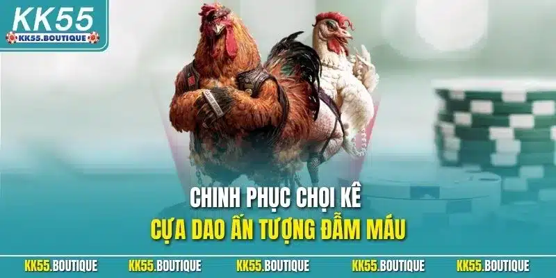 Chinh phục chọi kê cựa dao ấn tượng đẫm máu